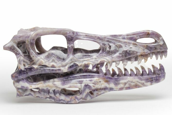 Polished Chevron Amethyst Dinosaur Crystal Skull - Ferocious! #218500